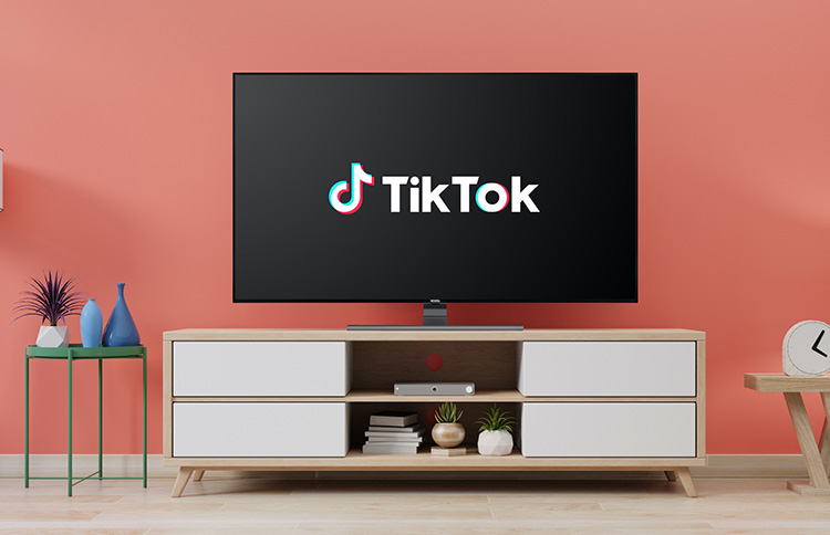 Vestel integriert TikTok vestel-tiktok-lifestyle