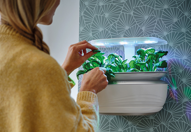 bosch-smartgrow-life-pflege