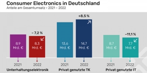 Consumer Electroncis ist der Verlierer in 2022